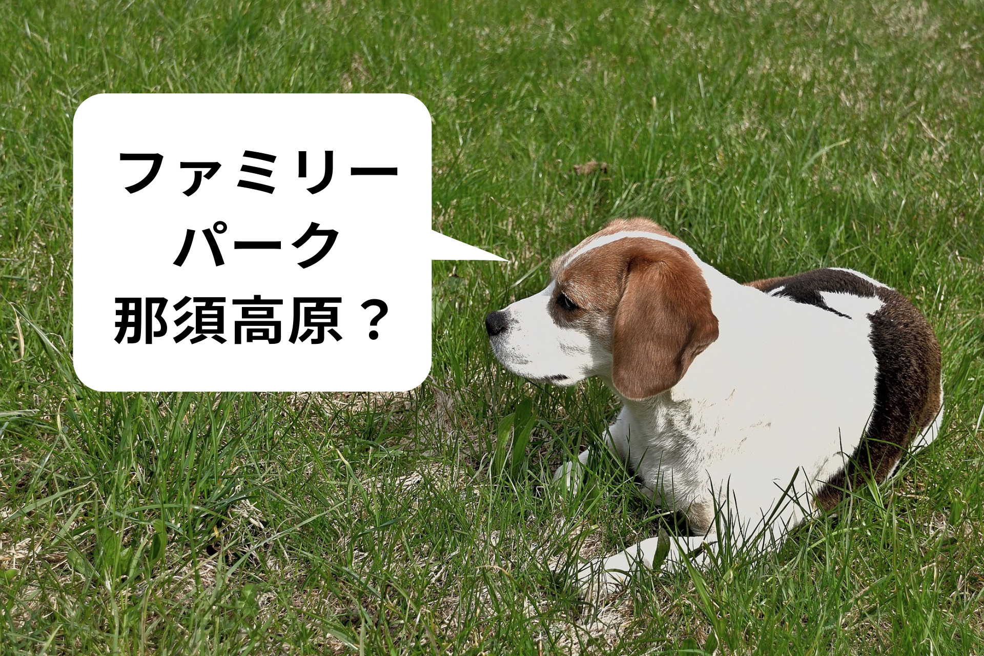 ファミリーパーク那須高原のことがよくわかるブログ