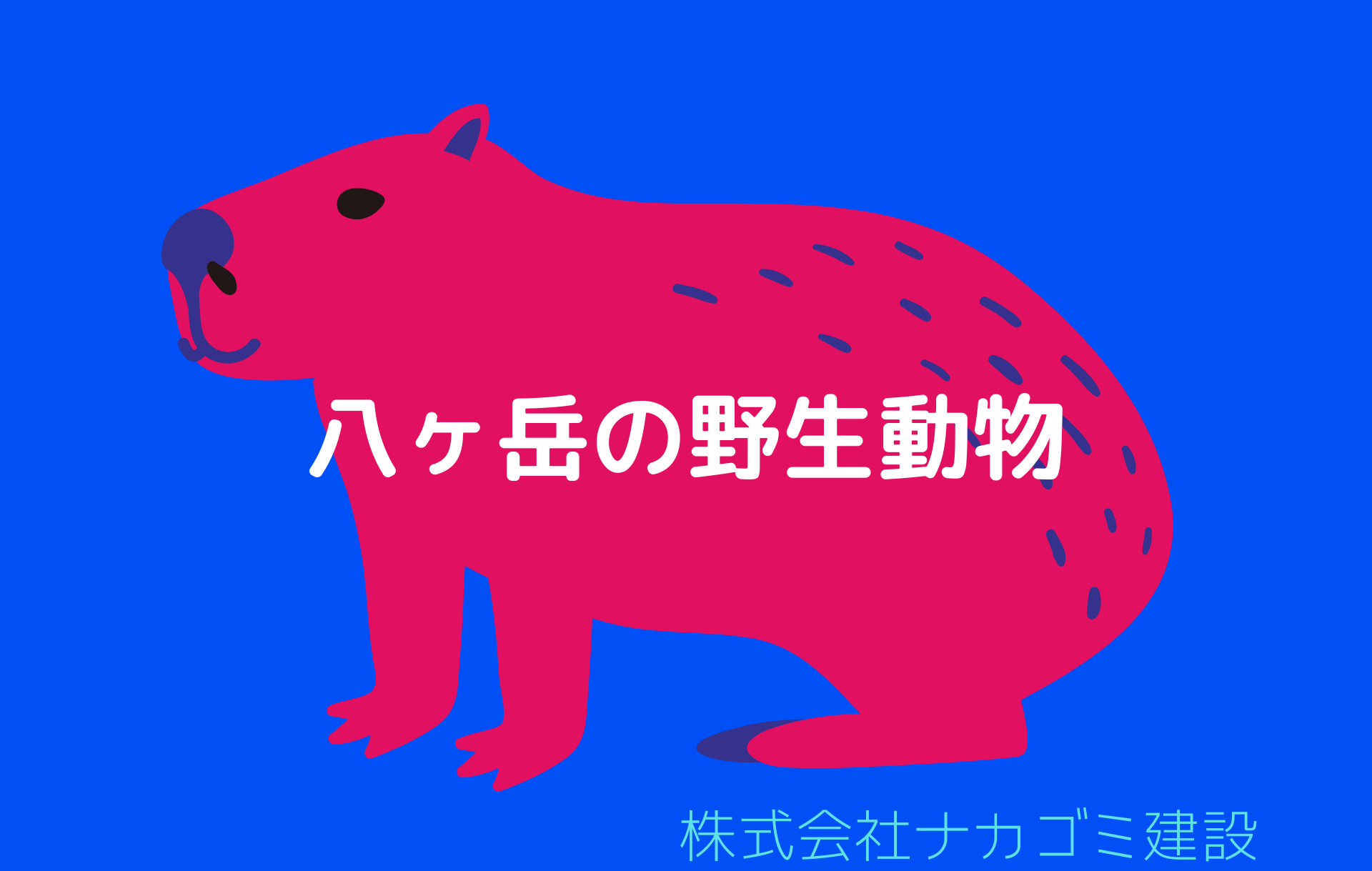 八ヶ岳の野生動物 ナカゴミ建設